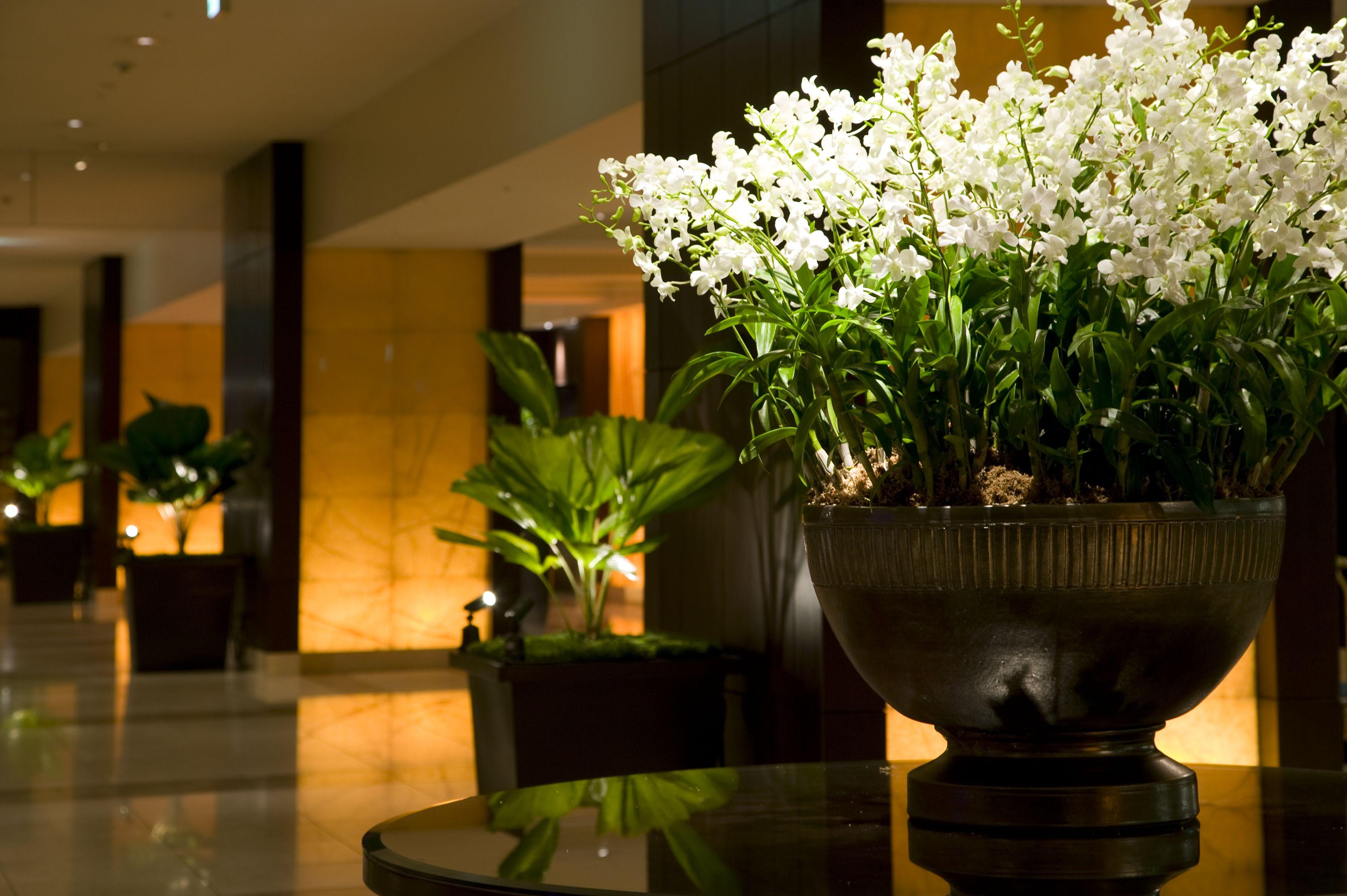 Sheraton Miyako Hotel אוסקה מראה חיצוני תמונה